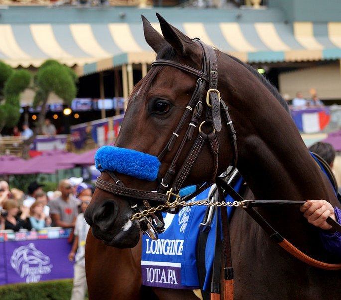 Ипподром Santa Anita Park, Breeders' Cup Distaff (Gr. 1) 2014 год.