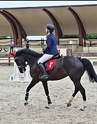 детская в конкур, выездку