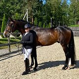 МЕРИН 9 ЛЕТ 169 СМ В ХОЛКЕ