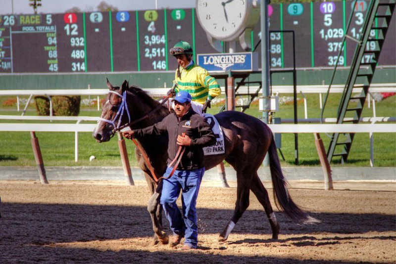 Ипподром Belmont Park 2014 год, скачка Futurity Stakes - Gr. 2