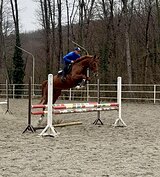 Шикарный в спорт 