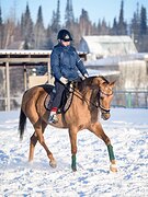 В КОНКУР / ТРОЕБОРЬЕ 