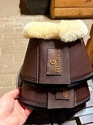 Колокольчики Kentucky