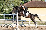 Вандер Виль
