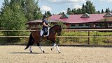 2018гр, 166вх. В выездку