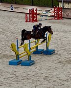 ПЕРСПЕКТИВНАЯ КОБЫЛА В КОН