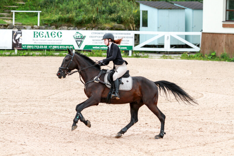 ГОРОСКОП-13 и Быкова Варвара