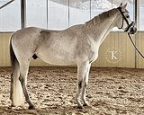 ЭЛЕМЕНТЫ ЮНОШЕСКИХ ЕЗД