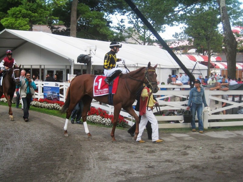 Ипподром Saratoga 2013 год, скачка The Ballerina.