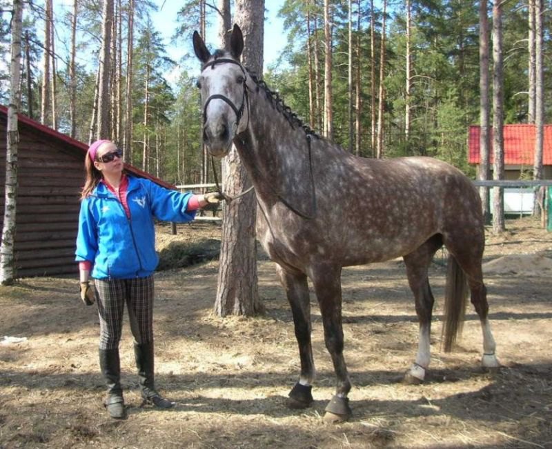 Бессарабова Тамара и Вилворд