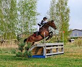 Кобыла 