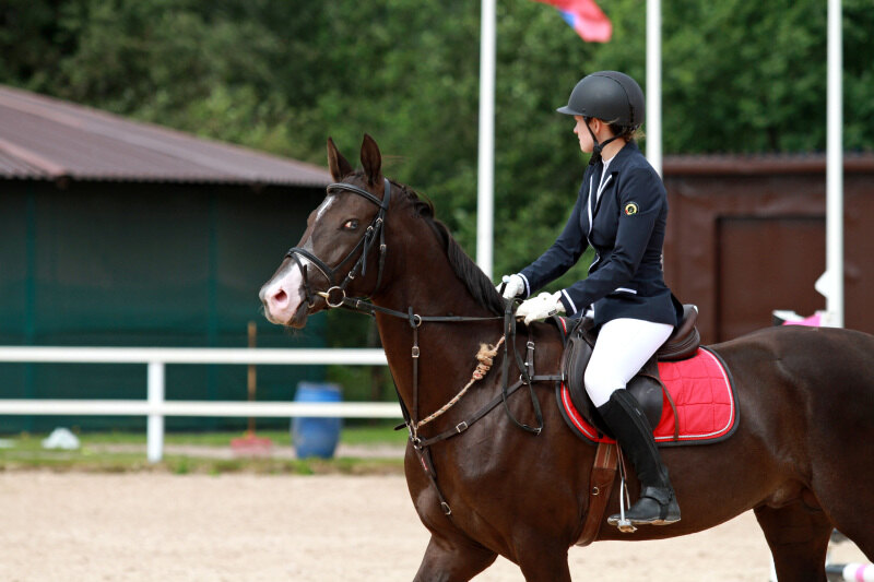АМЕЛЬДАР-19 и Гурова Марина