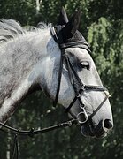 МАРШРУТЫ 100-110,ХОРОШО ВЫЕЗЖЕ