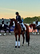 Невероятно шикарный