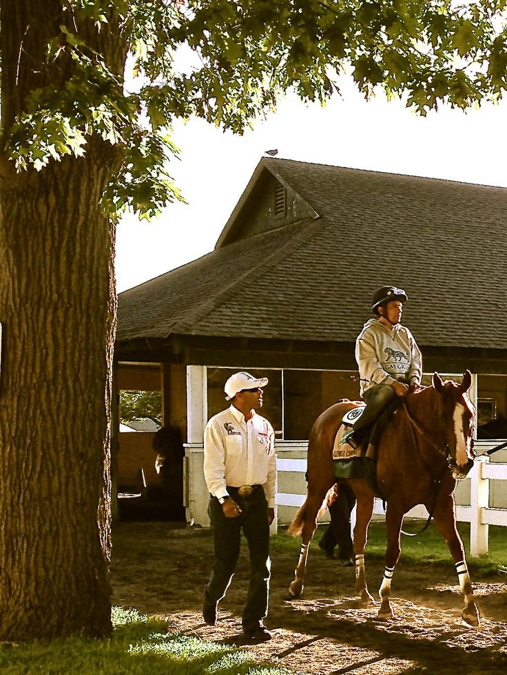 Belmont Park 2014 год