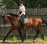 ВЫСОКИЙ В ВЫЕЗДКУ