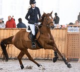 МАРШРУТЫ 85-100