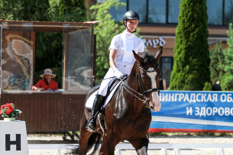 ЭЛЕМЕНТ-09 и Зибарова Екатерина