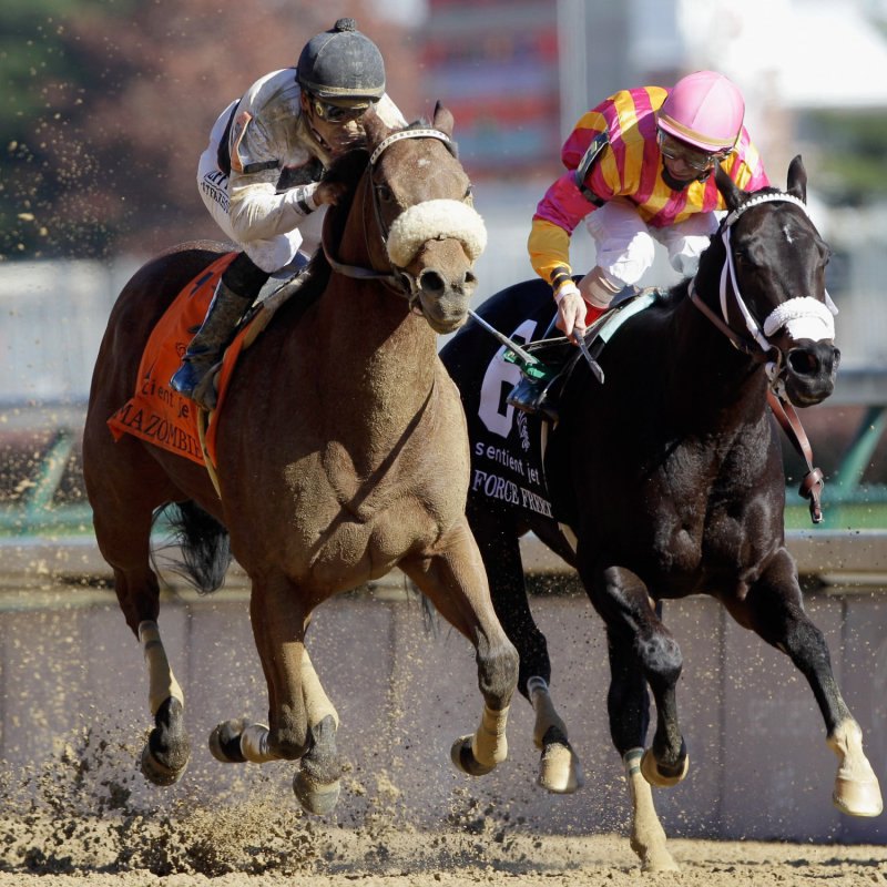 Ипподром Churchill Downs 2011 год, скачка Breeders' Cup Sprint 