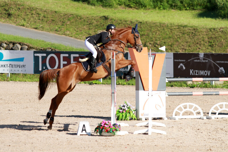 АВСТРИЯ-16 и Громзина Анна