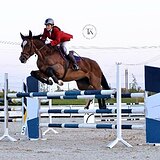 СТАРТОВЫЙ ОПЫТ ДО 130 СМ 