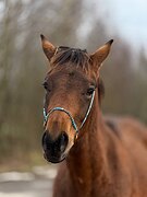 Симпатичный малыш