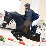 Идеальная лошадь-учитель