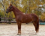 Учебка, хобби, прогулки