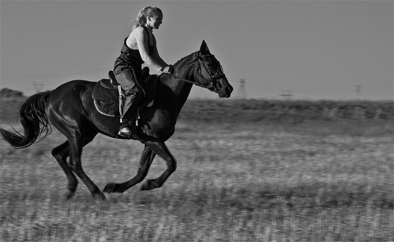 Фотосессия.На фото лошадь Цыганка и всадница Евгения.