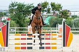 Маршруты 110, 120 готовится