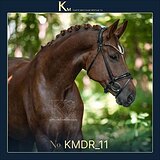 Эффектная 7-летняя кобыла 