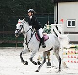 МЕРИН В КОНКУР • МАРШРУТЫ 80