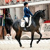 ПЕРСПЕКТИВЕН В ВЫЕЗДКУ