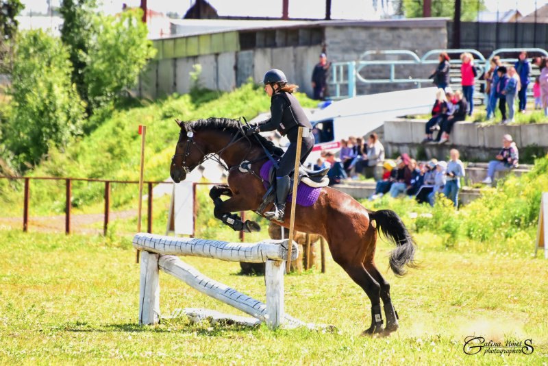 Чемпионат и Первенство Кузбасса по троеборью