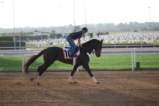 Ипподром Nad Al Sheba 2009 год, подготовка к Dubai World Cup.