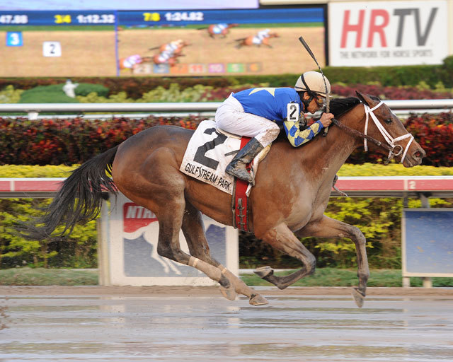 Ипподром Gulfstream Park 2013 год, скачка Wait a While Stakes