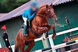 Подойдёт в любую дисциплин