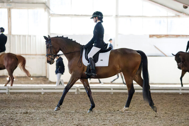 ТЕБЕРДА-13 и Ерошеня София