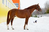 ЦЕНА СНИЖЕНА ДО 600 000