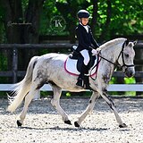 ПОНИ В КОНКУР И ВЫЕЗДКУ 