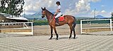 Сказочная Грация