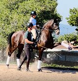 Впечатляющий жеребец PSL