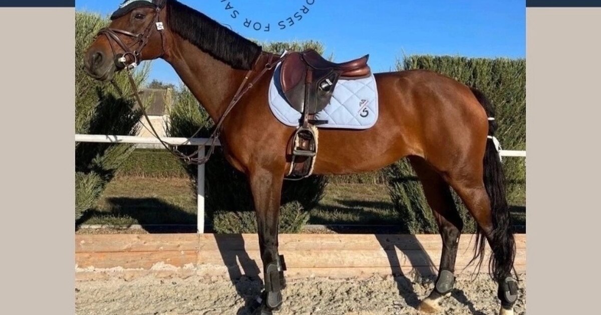 велосипедная форма.