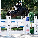 ЖЕРЕБЕЦ НА МАРШРУТЫ ДО 135 СМ