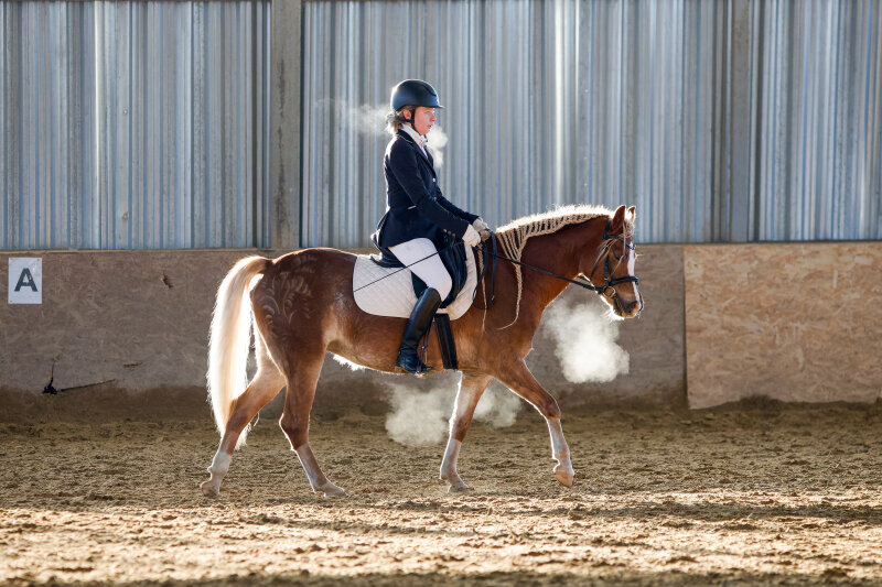 ХАНДРЕД СТАРС-19 и Шерстянова Мария