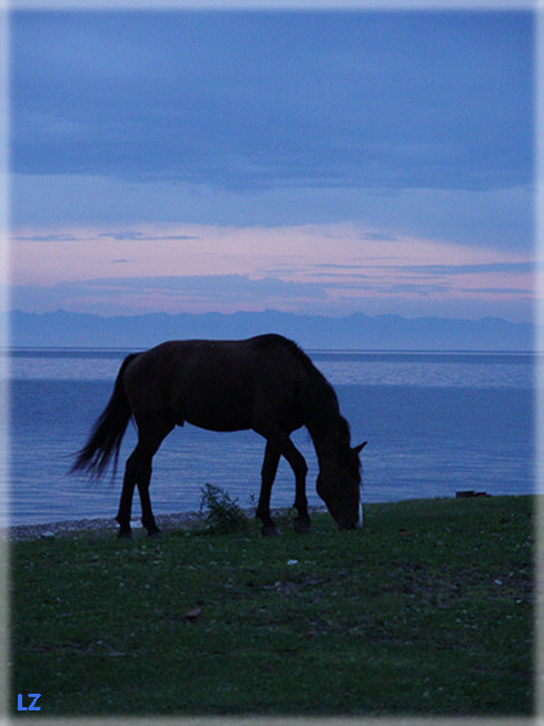 Ночная лошадь в бесконечной байкальской синеве