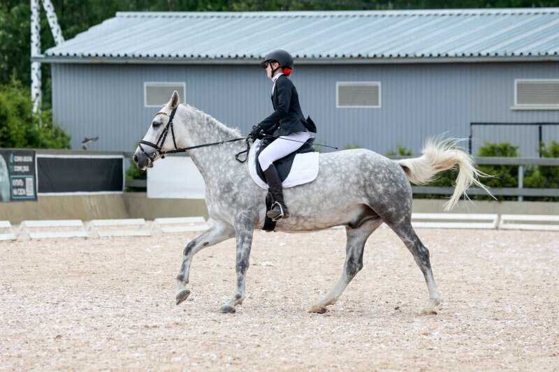 БЕТАНКУР-19 и Шнейдер Яна