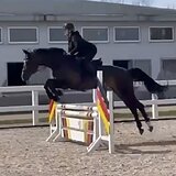 СТАРТОВЫЙ ОПЫТ ДО 110 СМ