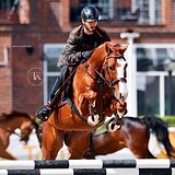 МЕРИН НА МАРШРУТЫ ДО 130 СМ