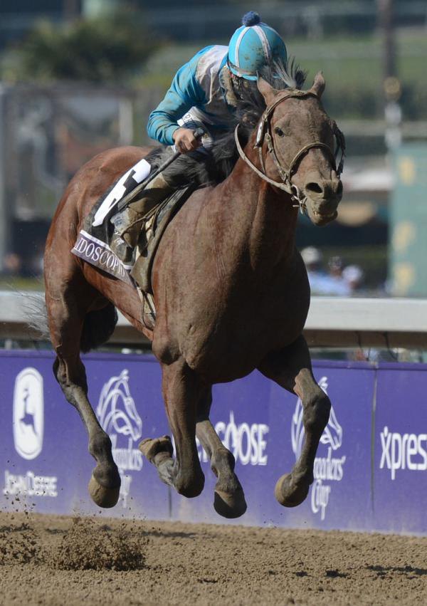 Ипподром Santa Anita 2012 год, скачка Breeders' Cup Marathon - Gr. 2